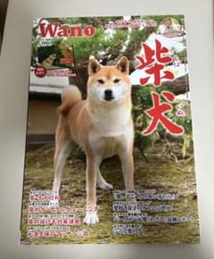 柴犬ファミリー　2005年度版のサムネイル