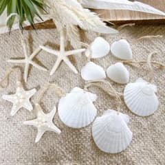 ナチュラルオーナメント 11個 海がテーマ クリスマス ツリー飾り 貝殻