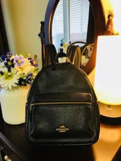 Coach mini bagのサムネイル