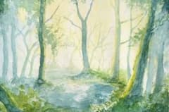 森の風景 水彩画のサムネイル