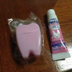 歯型ケースデンタルフロス 今だけおまけ付きのサムネイル