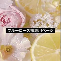 ブルーローズ様専用ページのサムネイル