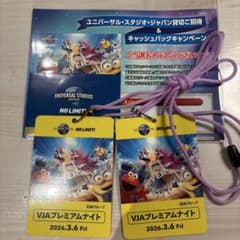3/6 ユニバーサルスタジオジャパン 貸切ナイト 招待チケット2枚 貸切
