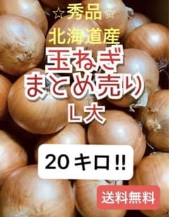【送料込み】秀品　Ｌ大　北海道産　玉ねぎまとめ売り　20キロのサムネイル