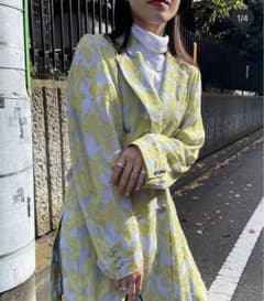 ⭐︎美品⭐︎AmeriVINTAGEアリスジャケット - メルカリ