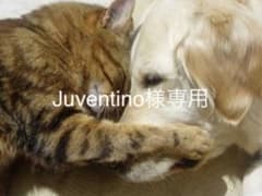 Juventino様 専用のサムネイル