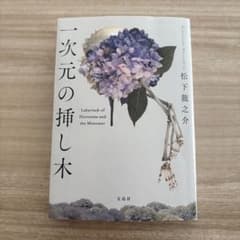 一次元の挿し木 文庫のサムネイル