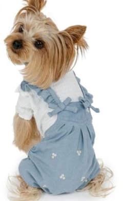 PET PARADISE】フリル付き犬服 チワワ 新品 - メルカリ