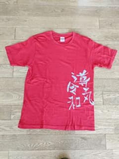 半袖 Tシャツ 自彊術 赤のサムネイル