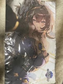 Shadowverse ECS 2026 愛知大会 プレイマット カンディマ - メルカリ
