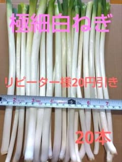 明日発送！極細のみ！愛媛県産白ネギ 長ねぎ ねぎ 野菜 - メルカリ