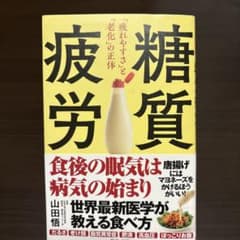 【限定値下げ！】　糖質疲労「疲れやすさ」と「老化」の正体のサムネイル