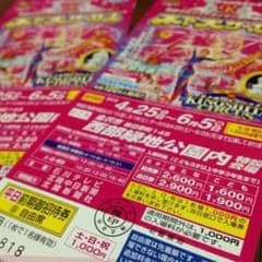 木下大サーカス平日券のサムネイル