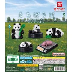 まちぼうけ パンダの場合 ガチャ