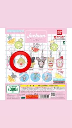 JO1 JOCHUM 메지루시 액세서리 모코 다이헤이 쇼우