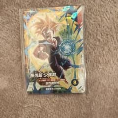 sdvtp-005のサムネイル
