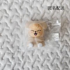 Stray kids SKZOO ライトマスコット　パピームのサムネイル