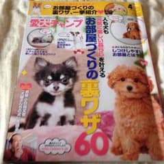 愛犬チャンプのサムネイル