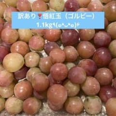 訳あり❣️悟紅玉（ゴルビー）1.1kg(*≧∀≦*)のサムネイル