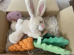 ドギーボックス 犬 おもちゃ　doggybox うさぎのサムネイル
