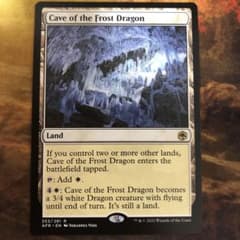 MTG 英語版 AFR フロスト・ドラゴンの洞窟 - メルカリ