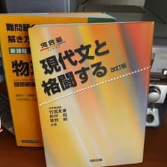 すすいとさん専用　難問題の系統とその解き方と現代文と格闘するのサムネイル