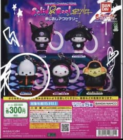 サンリオキャラクターズ Solid&Cool めじるしアクセサリー ポチャッコのサムネイル