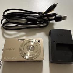 ジャンク品】SONY Cyber-shot DSC-WX1 デジカメ ゴールド - メルカリ
