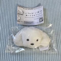いろんないぬのぬいぐるみクリップ てらおかなつみ いぬのサムネイル