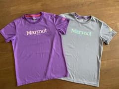 マーモット　レディースTシャツ　2枚セット　速乾性　Mサイズのサムネイル