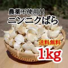 送料無料!! 2025年産 無農薬 バラニンニク 5kg ニンニク 5キロ 送料無料】 2025年産 無農薬 バラニンニク 5kg ニンニク 5キロ 【公式