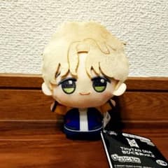 BTS TinyTAN DNA 치비구루미 디민