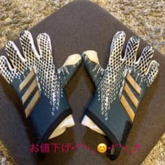 【お値下げ】キーパーグローブ　サイズ6 predator20 モデル IRI36のサムネイル