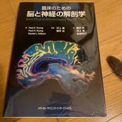 臨床のための脳と神経の解剖学のサムネイル