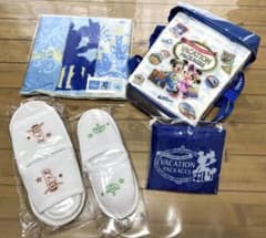 ディズニーバケーションパッケージ2022セットのサムネイル