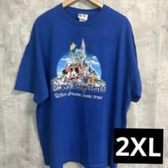 ディズニー ヴィンテージ カントリーベア Tシャツ Lサイズ WDW ワールド il_fullxfull.3790663193_onks.jpg トップス