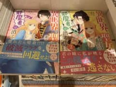 異世界から聖女が来るようなので、邪魔者は消えようと思います 2のサムネイル