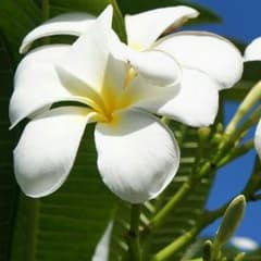 ゆーすけ様 専用！のサムネイル