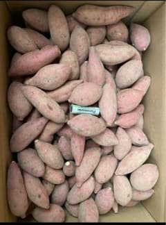 種子島産安納芋　一口　3㎏のサムネイル