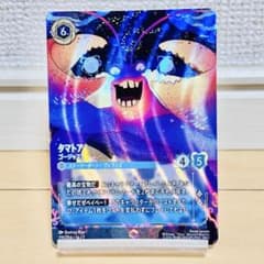 ディズニーロルカナ タマトア ゴージャス！ エンチャンテッド - メルカリ