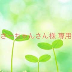 美品 キラキラ 髪飾りのサムネイル