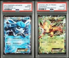 グレイシアEX リーフィアex XY 020 192 PSA10 連番 - メルカリ