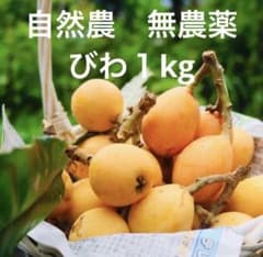 自然農 無農薬 びわ 1kg 宅急便コンパクトのサムネイル