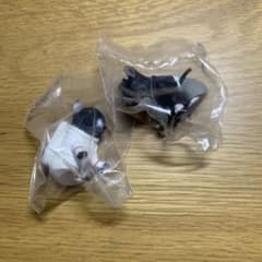 フレンチブルドッグ フィギュア 2点セット ガチャガチャのサムネイル