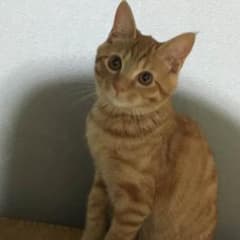 hana様のサムネイル