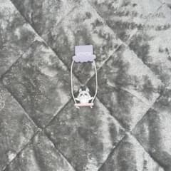 モモンガ ブランコのサムネイル