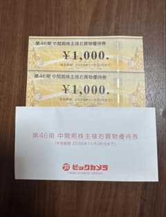 ビックカメラ 株主優待券 2枚セット　匿名配送のサムネイル