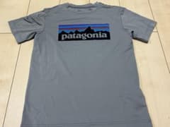 Patagonia パタゴニア Tシャツ グレーのサムネイル