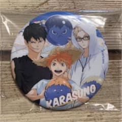 ハイキュー‼︎ 缶バッジ　烏野高校のサムネイル