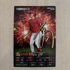 ミズノプロ 堂林翔太選手 実使用 フットガード エルボーガード 堂林翔太選手 2024プロスピAカード - メルカリ